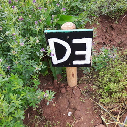 D3