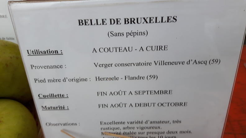 Belle-Fleur_Bruxelles_Journee_Fruits_CRA-W_Gembloux_25-09-2016_01.jpg