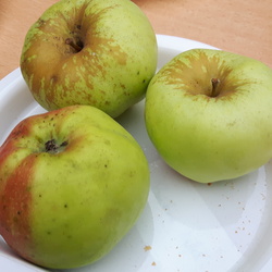 Boiken Apfel