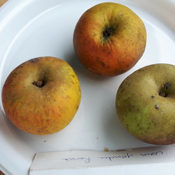 Court-Pendu Rosat
