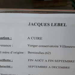 Jacques LeBel