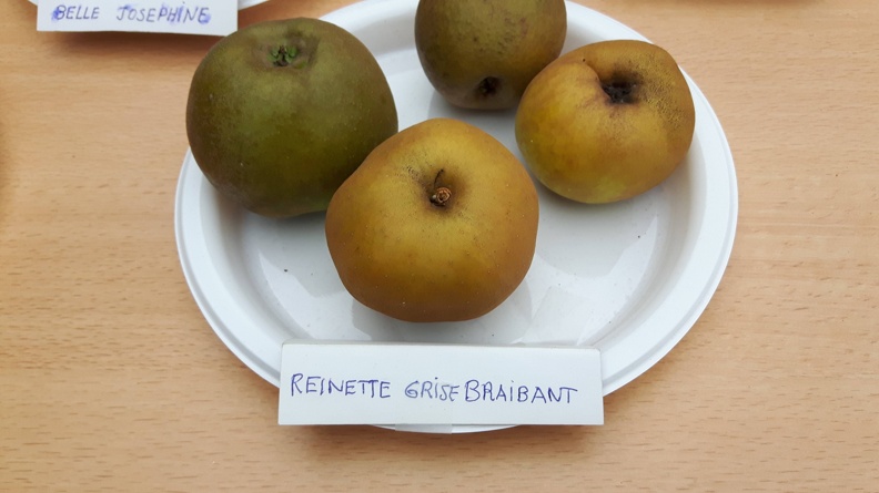 Reinette_Grise_Braibant_Journee_Fruits_CRA-W_Gembloux_25-09-2016.jpg
