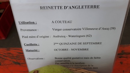 Reinette Angleterre Journee Fruits GBX 25-09-2016 10