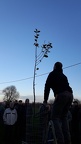 Verger-Hick Bilstain Taille-arbre-1 18-11-2018 06