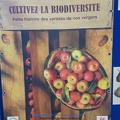 Diversifruit-8e-journee 27-09-2109 52