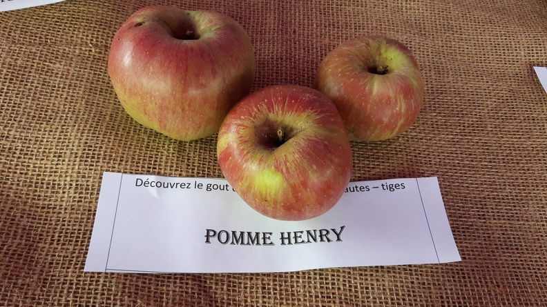 Pomme-Henry-La-Batte-13-10-2019