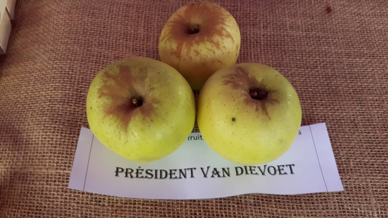 President-van-Dievoet-La-Batte-13-10-2019.jpg