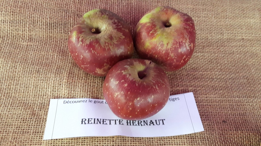 Reinette-Hernaut-La-Batte-13-10-2019