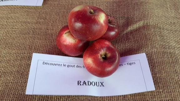 Radoux-La-Batte-13-10-2019 25