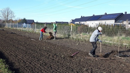 Haie-creafarm preparation 22-11-2019 16