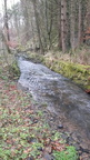 Ruisseau Moulin de Ferrières 12-11-2020 08