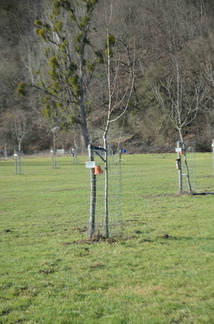 VergerOlne 36 20-02-21 01