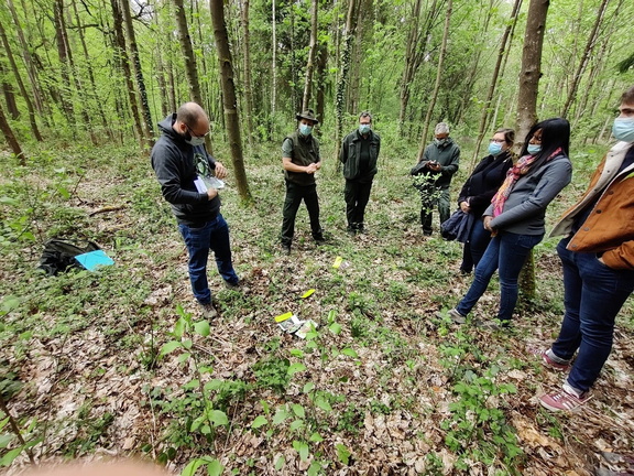 Animation chasse biodiversité formation Code Forestier bois Vecquee 10-02-2021 01