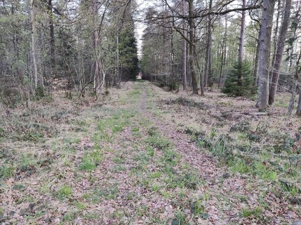 voirie foret Ferrieres 07-05-21 04