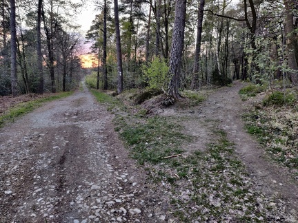 voirie foret Ferrieres 07-05-21 05