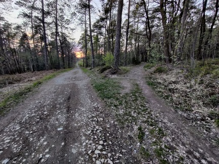 voirie foret Ferrieres 07-05-21 06