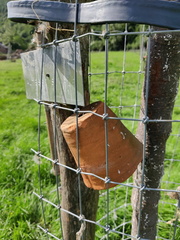 Verger Olne 022 08-08-2021 03