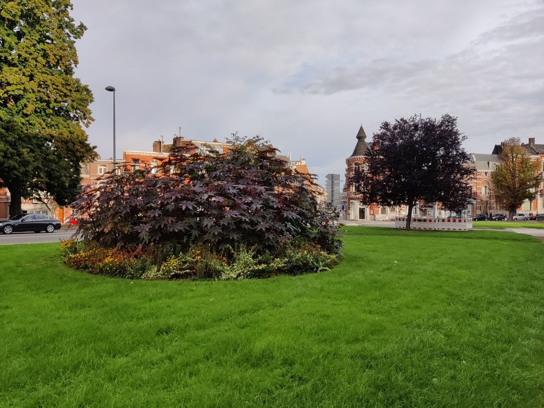 massifs fleurs devant Eglise saint vincent 27-09-21 02