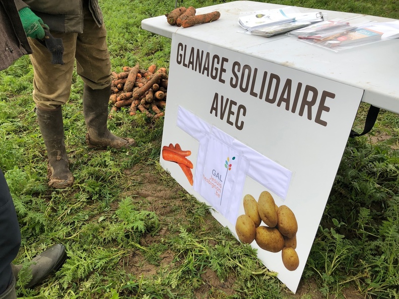 glanage solidaire carottes 01
