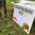 glanage solidaire carottes 01