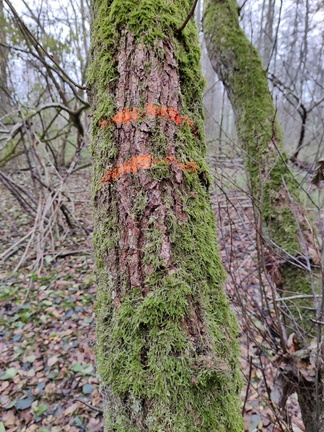 Marquage ilot de conservation sur site Natura2000