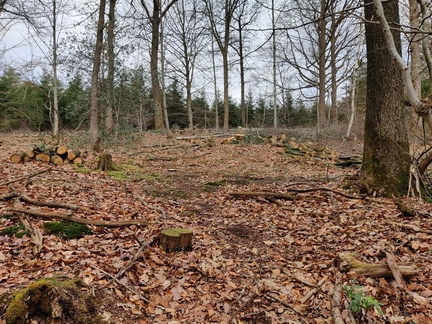 Chantier Decoupe Bois-de-Feu 19-03-2023 04