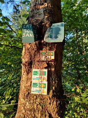 Signalisation foret Sprimont 08-06-2023 01