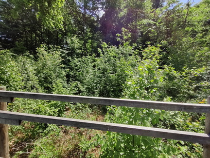 lisiere etagee ligne-HT Elia 03-06-2023 02