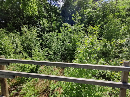 lisiere etagee ligne-HT Elia 03-06-2023 03
