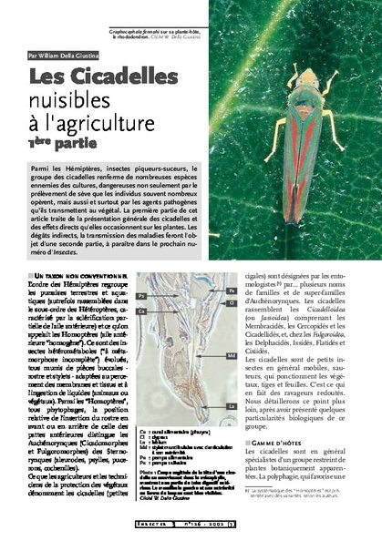 OPIE_les_cicadelles_nuisibles_en_agriculture.pdf