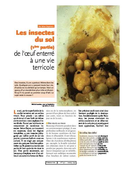 OPIE_les_insectes_du_sol.pdf