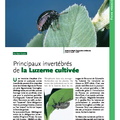 OPIE Principaux invertebres Luzerne cultivee
