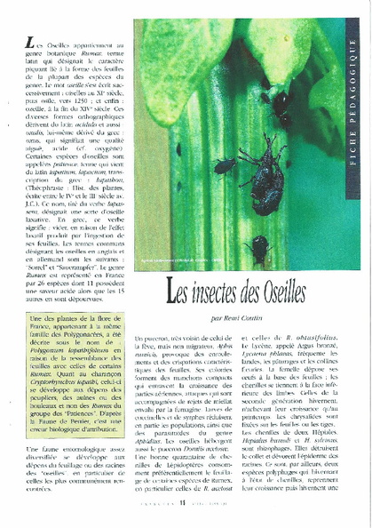 insectes_des_Oseilles.pdf