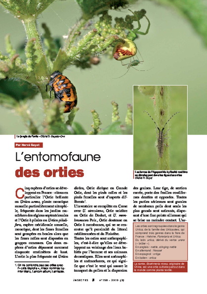 Les_insectes_ortie.pdf