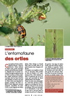 Les insectes ortie