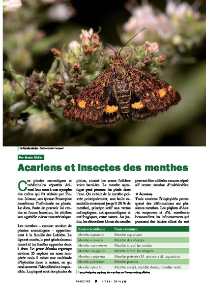 Les_insectes_Menthes.pdf