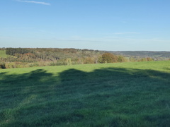 Affut chasse Sprimont 26-10-2024 03