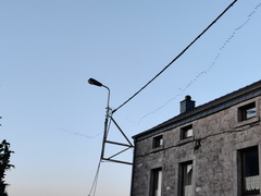 grues Sprimont-16-02-2025 03