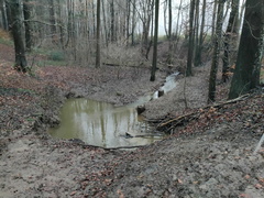 Ferrieres 25-12-2024 24