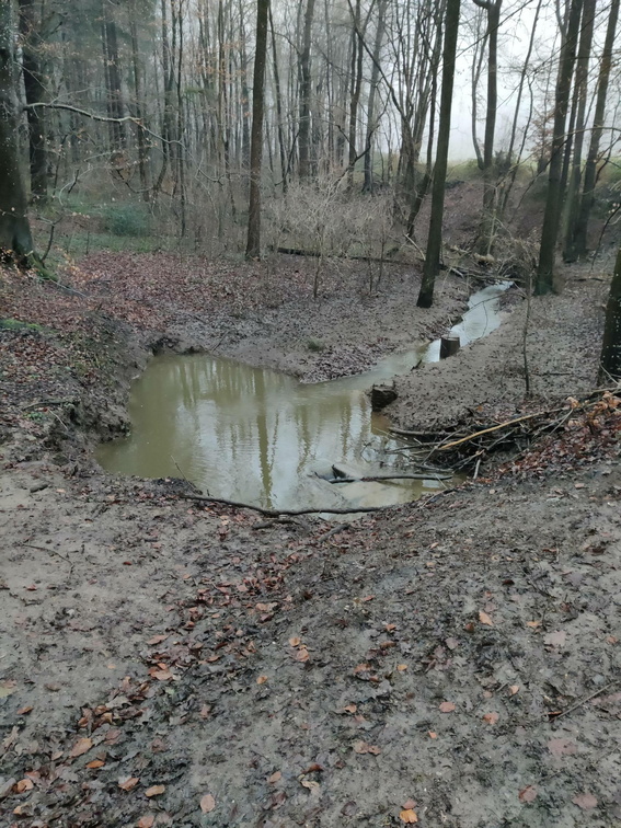 Ferrieres 25-12-2024 25