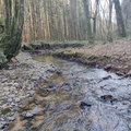 Rau Fond-du-Moulin 06-03-2025