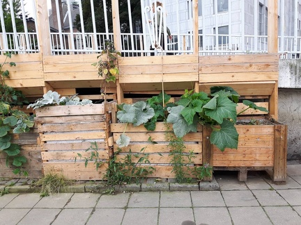 Incroyables comestibles Passerelle Liege 21-08-2016 12