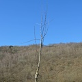 VergerOlne 33 2019-02-25 01