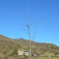 VergerOlne 33 2019-02-25 02