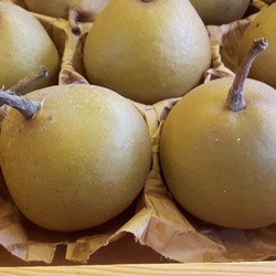 Poire de Grise
