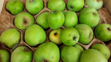 President Van-divoet Collection-CRA-W Fete Pommes Modave 02-10-2016 108