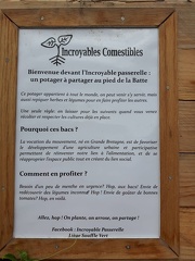 Incroyables comestibles Passerelle Liege 21-08-2016 15