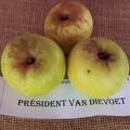 President-van-Dievoet-La-Batte-13-10-2019