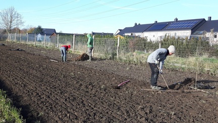 Haie-creafarm preparation 22-11-2019 17