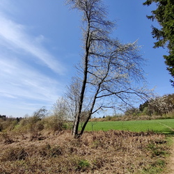 Gestion de la forêt